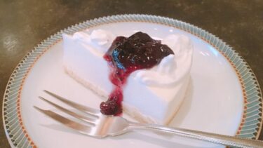 Japanese Style Rare “No-Bake” Cheesecake, with gelatin instead of wheat and eggs