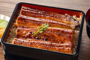 Unadon and Unaju, baked eel with sweet and spicy sauce on the rice